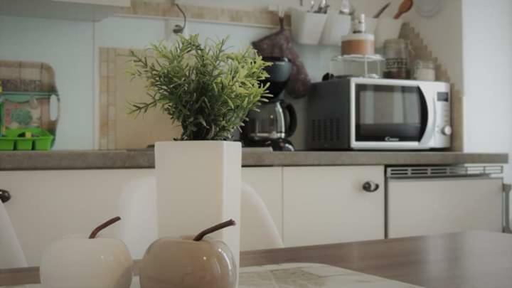 Apartment Megy With Balcony In City Center Цриквениця Екстер'єр фото